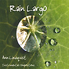 Ann Lindquist - Rain Largo